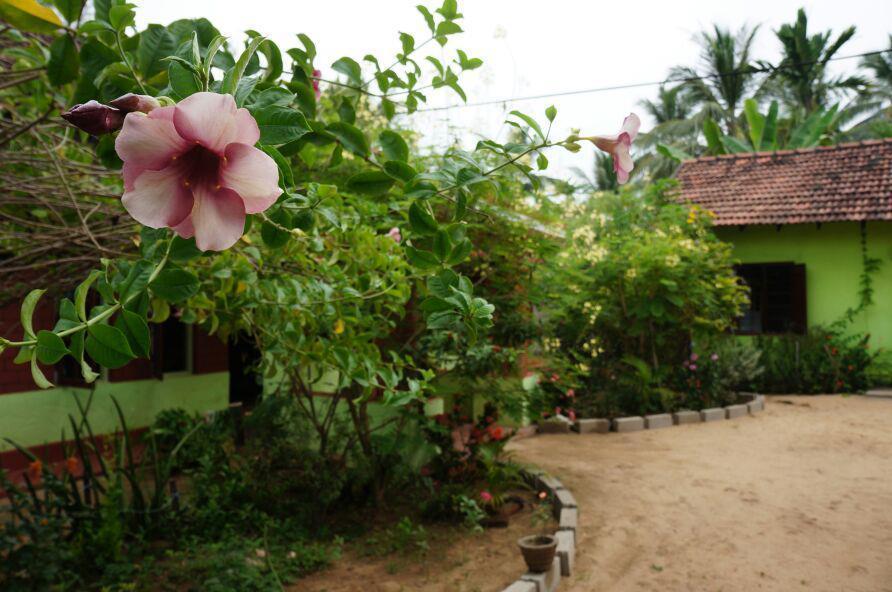 Surf & Yoga Arugam Bay Exterior foto